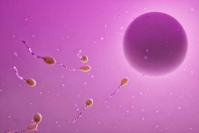 In Vitro Fertilization (IVF)
